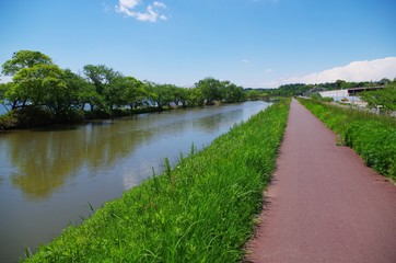 Fototapeta na wymiar 新緑の川と遊歩道