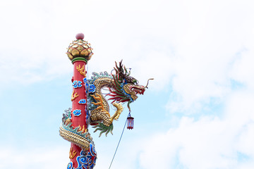 Chinese dragon on blue sky white clouds backgrounds