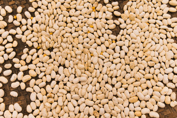 Drying white beans