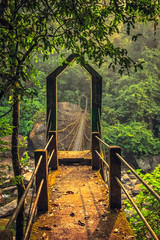 Fototapeta na wymiar Amazing suspension bridge near Nongriat village, cherrapunji, Meghalaya, India.