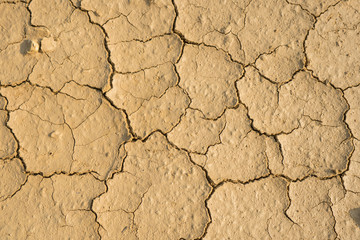 Dried cracked earth texture for background.