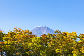 富士山と紅葉、山梨県富士吉田市にて