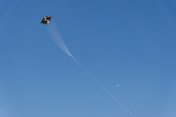 伝統行事の凧揚げ