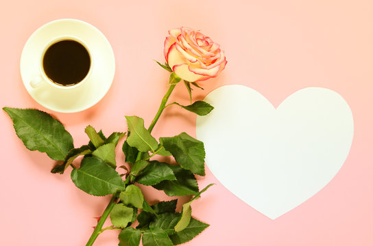 Pink blooming rose flower with cup of coffee and paper heart for text on pink background