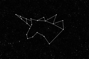 Fototapeta na wymiar Unicorn constellation against of stars. Fantasy character