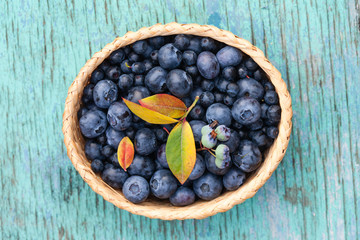 fresh blueberries