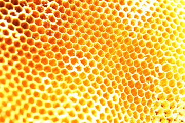 The golden area is filled with hexagonal channels., Abstract background on Honeycomb 
