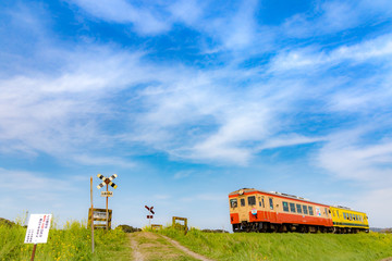 青空とローカル列車