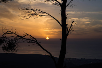 Sunset