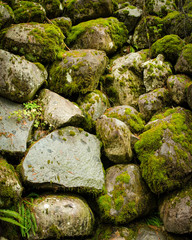 Rock wall