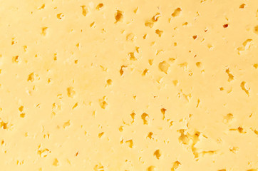 piece of organic milky cheese background, food photo.