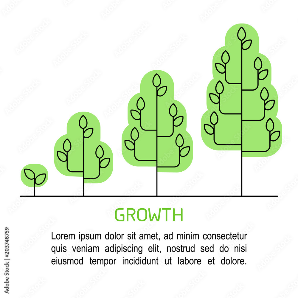 Poster Tree growing process infographics. Growth concept line art icons. 