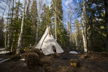 Indian hut in the forest © Alex