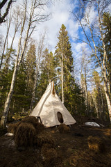 Indian hut in the forest © Alex