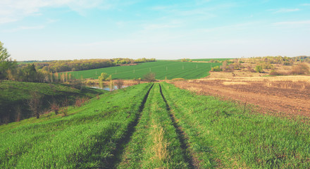 Fototapeta na wymiar Sunny spring landscape with ground country road passing through the fields