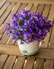 Purple flower in the pot on the wooden table in garden, high angle view