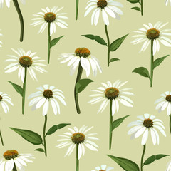 Chamomile flowers and leaves. Seamless vector patern with isolat