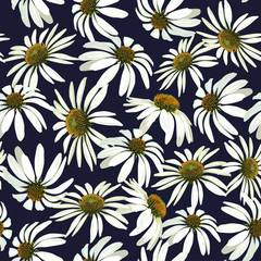 Chamomile flowers. Seamless vector patern with isolated plants. 