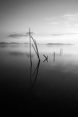 Perfect reflections on a lake, with clouds and hills reflecting on water, soft tones, and some wooden poles coming out of water