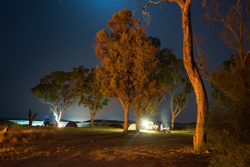 Night camping in a forest