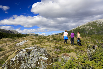 Naklejka na ściany i meble Hiking in Bronnoy mountain Northern Norway