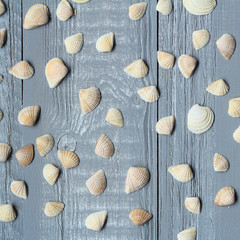 lots of small seashells on light wooden background