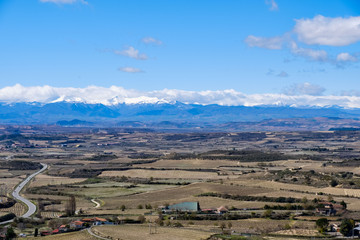Fototapeta na wymiar Panoramic view of a large plain full of Rioja wine vines in the region of La Rioja Alavesa, and snow-capped mountains of the sierra in the background. Seen from the village of Laguardia