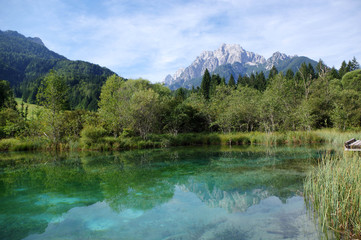 Naklejka na ściany i meble le lac zelenci en Slovénie 