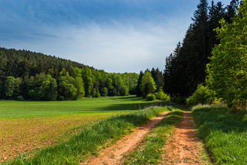 Fototapeta na wymiar Countryside road in summer field. South Bohemian region. Czech republic.