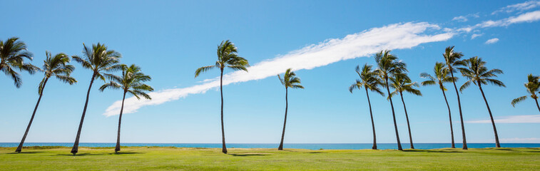 Obraz premium Hawaiian beach