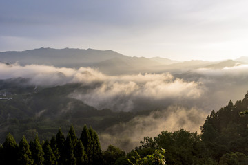 国見ケ丘の雲海風景