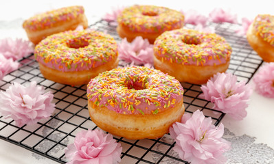 Sweet pink fresh Donut decorated with japanese Flowering Cherry Tree flower