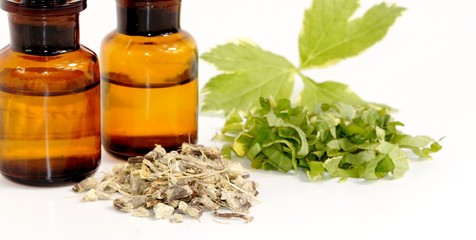 Meisterwurz, Tinktur, Naturheilmittel