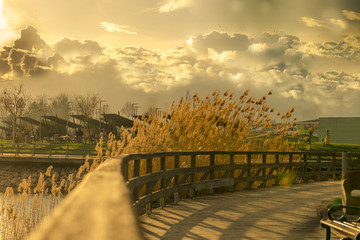 Mogan Lake - (13 March 2018) - Ankara Turkey