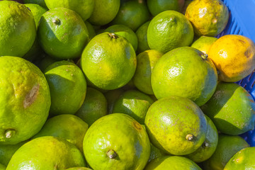 citrons bio 