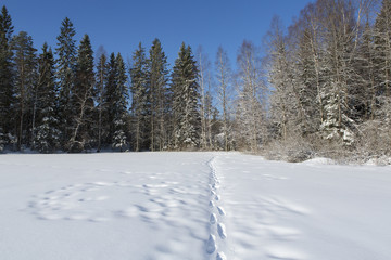 Footprints on the deep snow on a beautiful winter day in Finland.