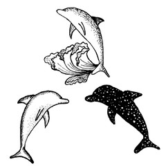 Fototapeta premium Dolphins, black and white pattern, vector illustration