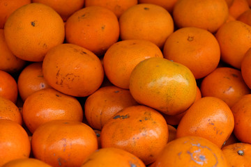 Oranges in Market