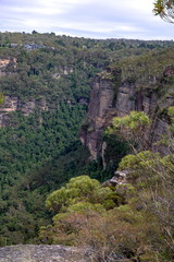 ブルーマウンテン