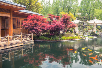 Fototapeta premium Garden in Kunming, Yunnan, China