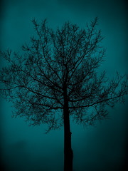 Dark ice tree