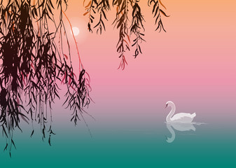 Obraz premium background with white swan and willow branches, vector illustration