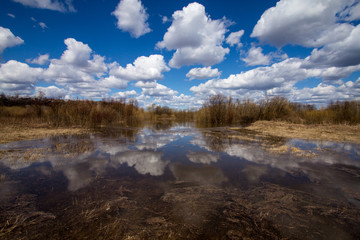 Fototapeta na wymiar spring floods in the central part of Russia