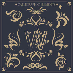 set of calligraphic design elements and page decorations