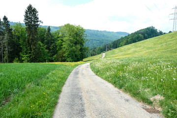 Fototapeta na wymiar natural landscape in Switzerland during the spring