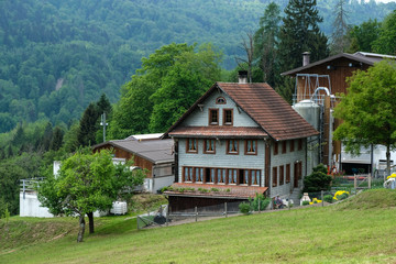 natural landscape in Switzerland during the spring