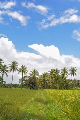 Obraz premium farm and beautiful sky 