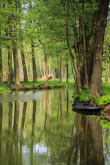 Spreewald, Raddusch, Landschftsidyll, panorama Landschaft
