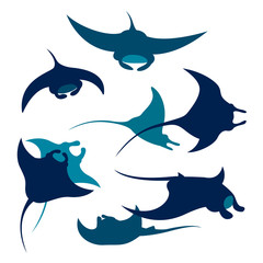 Fototapeta premium Set of mantas silhouette.