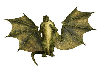 Fototapeta premium 3D Rendering Fantasy Dragon on White